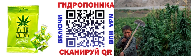Cannafood конопля Чапаевск