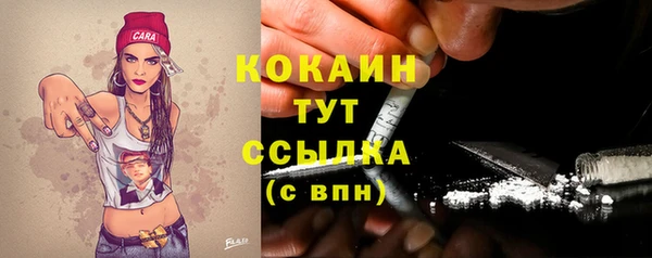 амф Каменка
