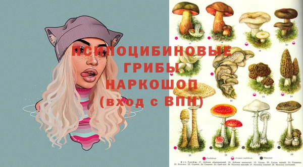 амф Каменка