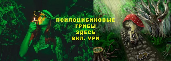ECSTASY Каменногорск