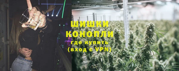 амф Каменка