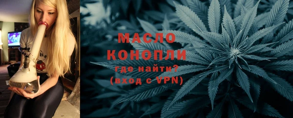 амф Каменка