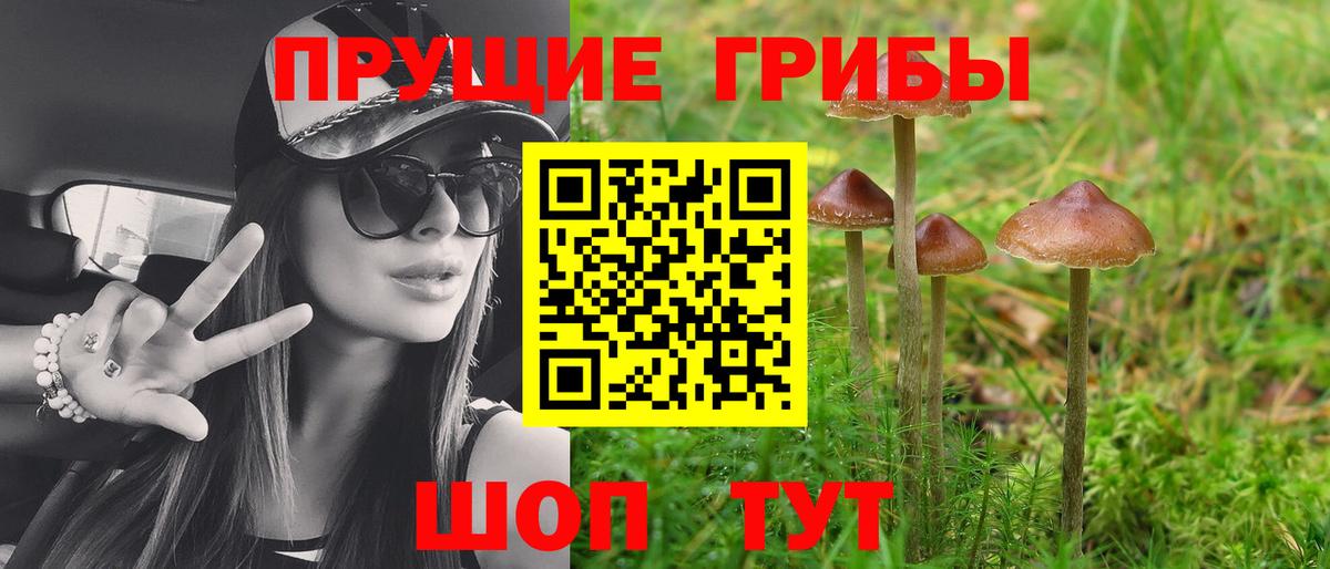 Псилоцибиновые грибы MAGIC MUSHROOMS Чапаевск
